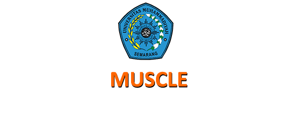 Logo MUSCLE